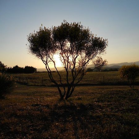 Agriturismo Il Grillo Parlante Pitigliano Luaran gambar