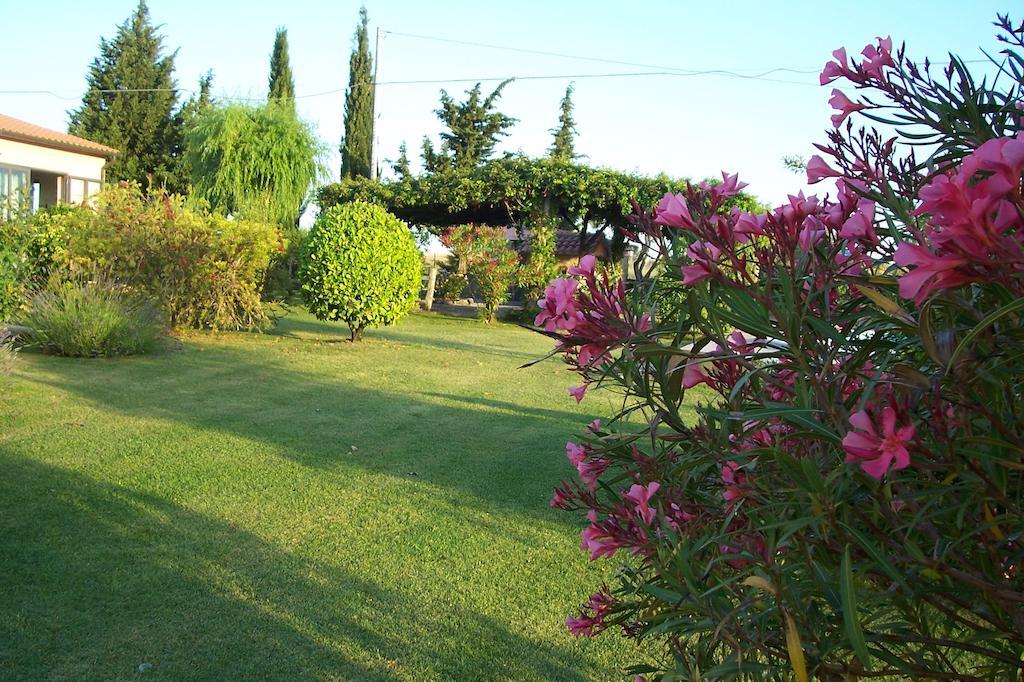 Agriturismo Il Grillo Parlante Pitigliano Luaran gambar