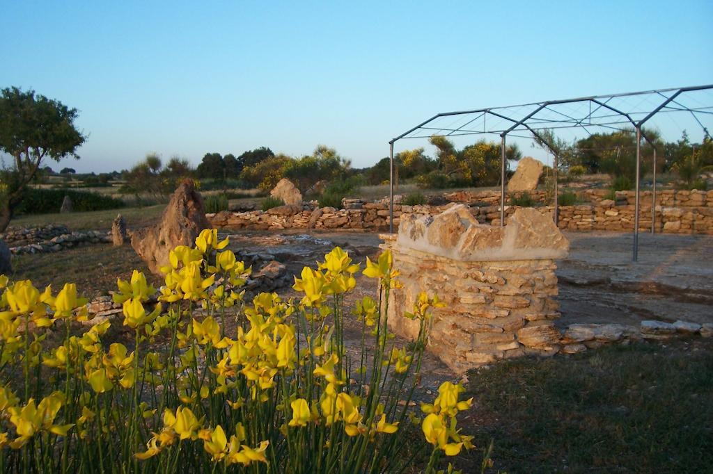 Agriturismo Il Grillo Parlante Pitigliano Luaran gambar
