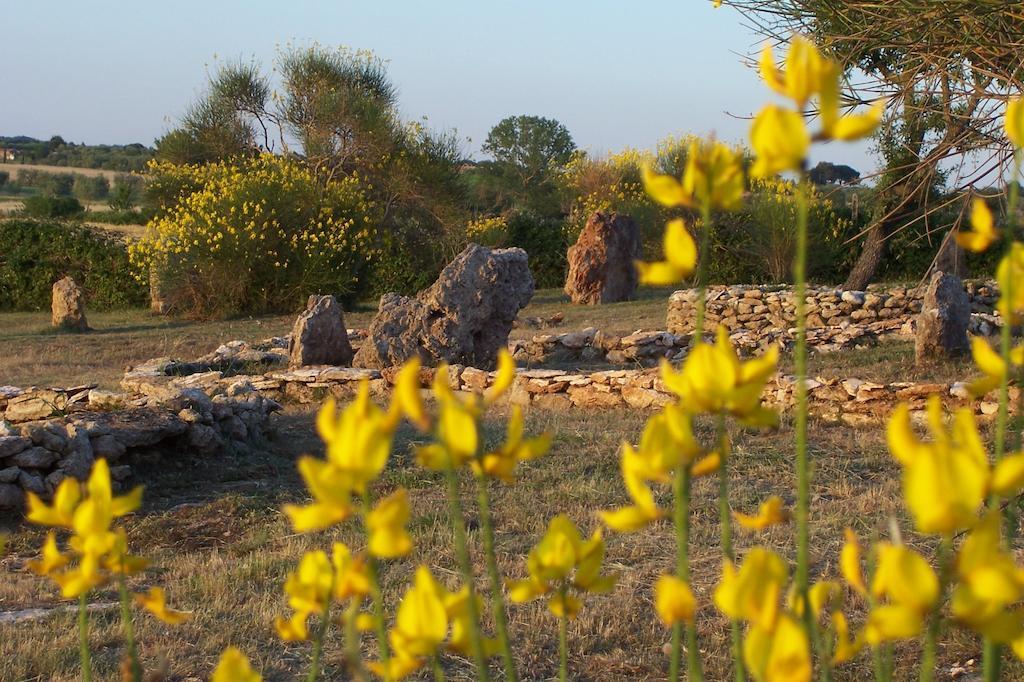 Agriturismo Il Grillo Parlante Pitigliano Luaran gambar