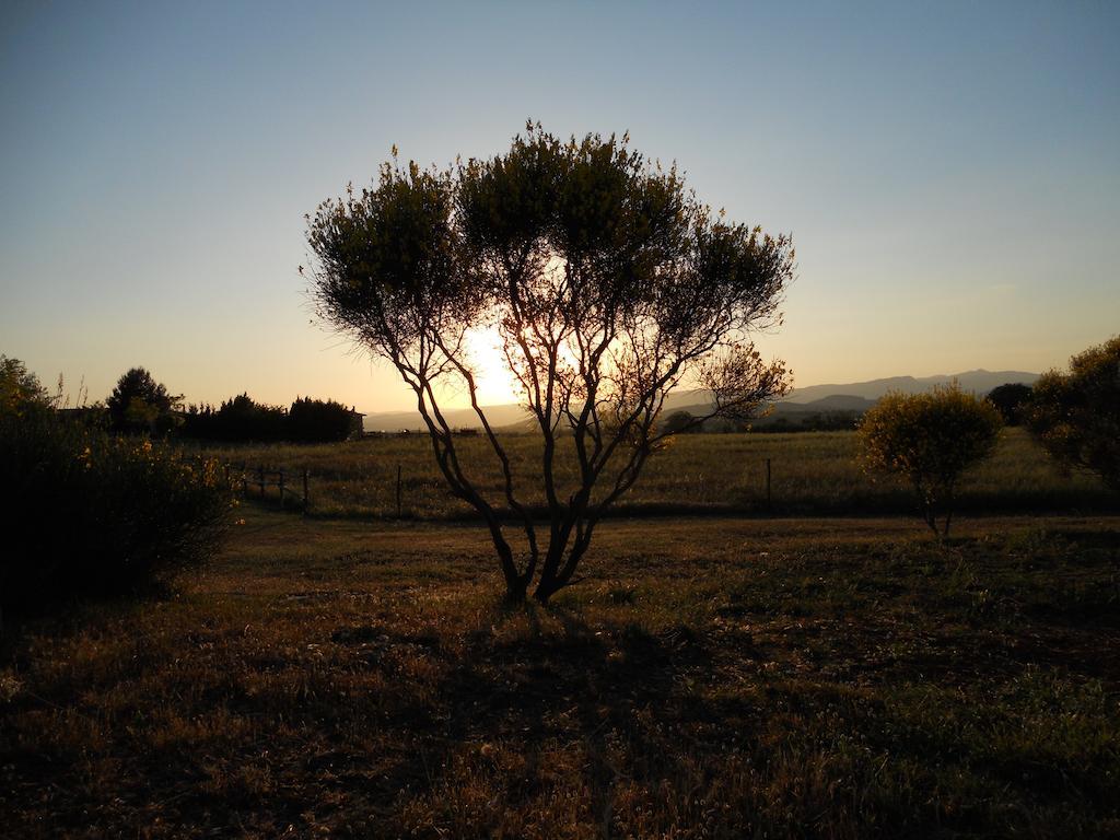 Agriturismo Il Grillo Parlante Pitigliano Luaran gambar