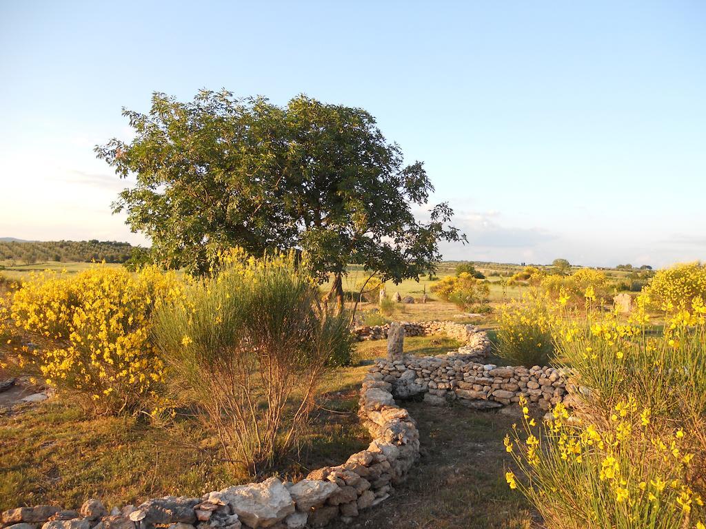 Agriturismo Il Grillo Parlante Pitigliano Luaran gambar